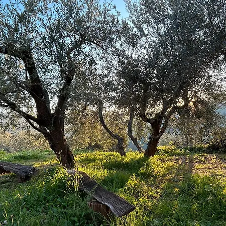 Villa Casa Petritoli